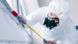 Best Pest Control for Multi-Family Homes  in Dalton, PA